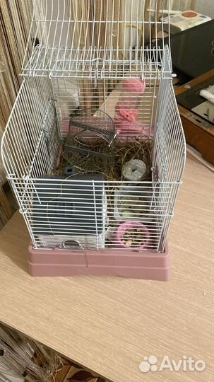 Клетка для джунгарского хомяка