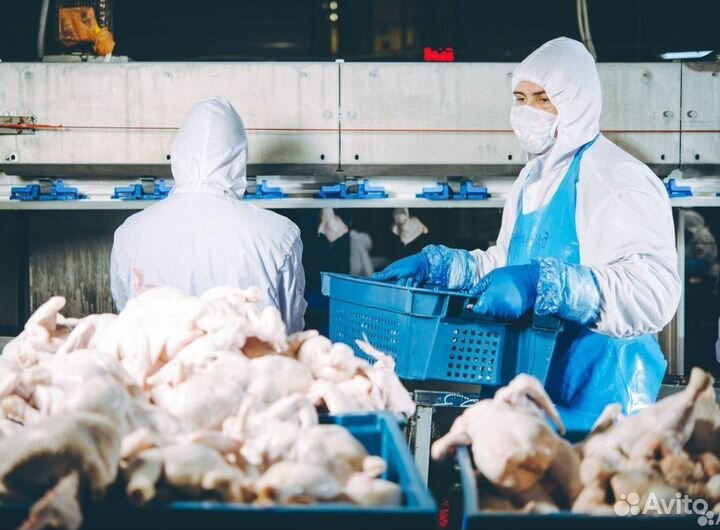 Укладчик упаковщик