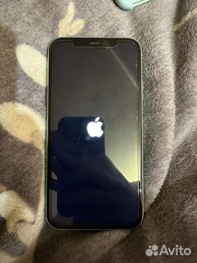 iPhone 11 64 green ростест