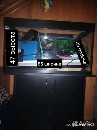 Террариум для рептилий