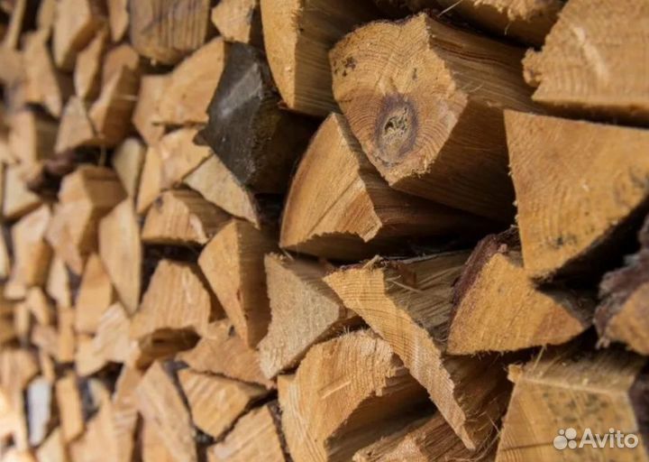 Дрова береза