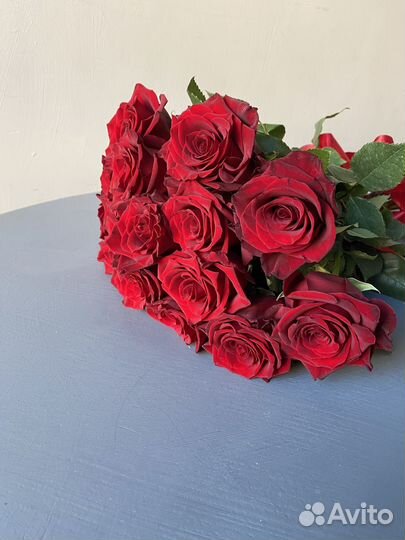 Розы Эквадор