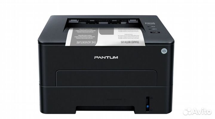 Pantum P3020D