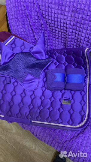 Вальтрап выездковый