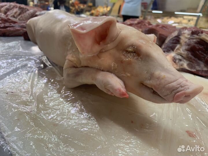 Молочные поросята