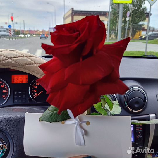 Сырные конфеты