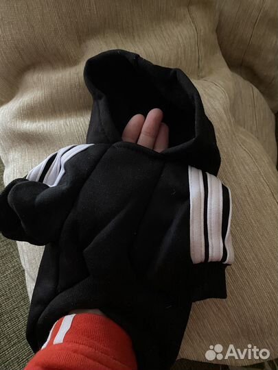 Одежда для собак Адидас