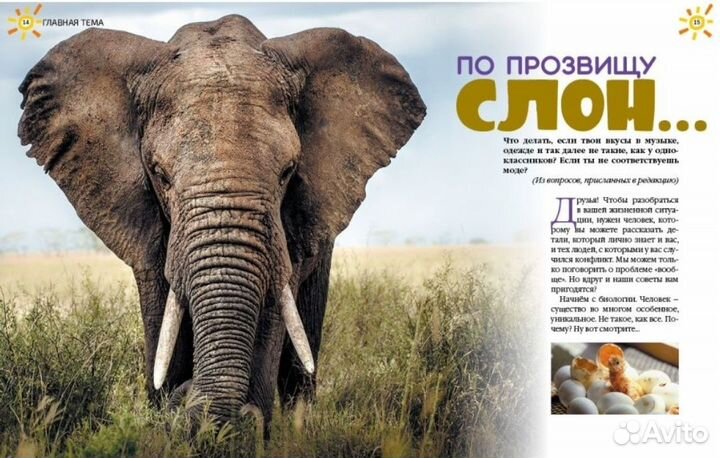 Журнал Лучик №7 2023 (Июль)