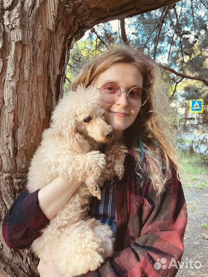 Выгул собак, зооняня, ситтер