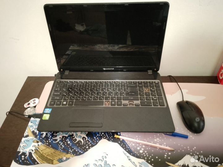 Packard Bell