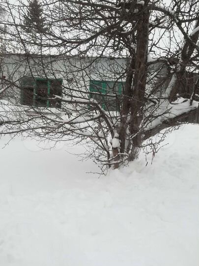 Дом 80 м² на участке 13 сот.