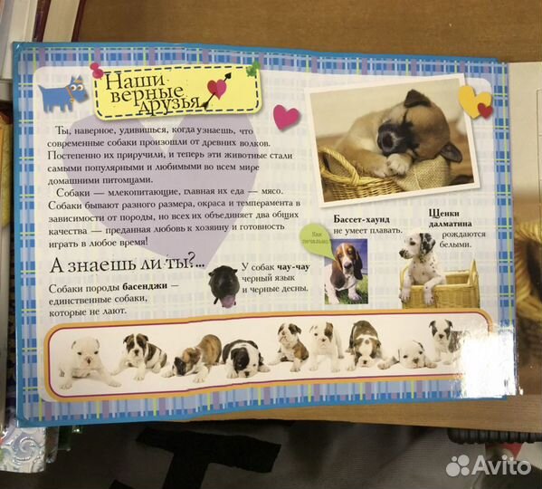 Книжка пазл Все о собачках