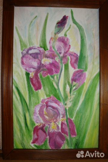 Картины Ирисы