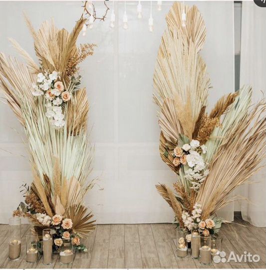 Пальмовые листья