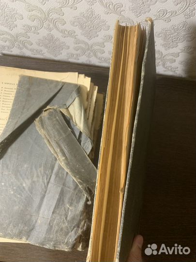 Поход Челюскина. Том 1. 1934 год