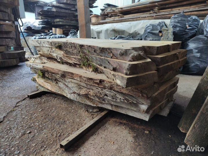 Слэб каштан. Слэб каштана широкий 87см