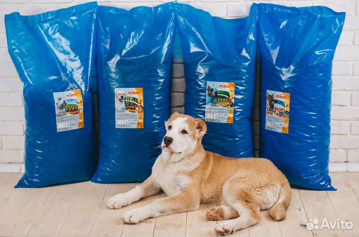 Сухой корм для собак