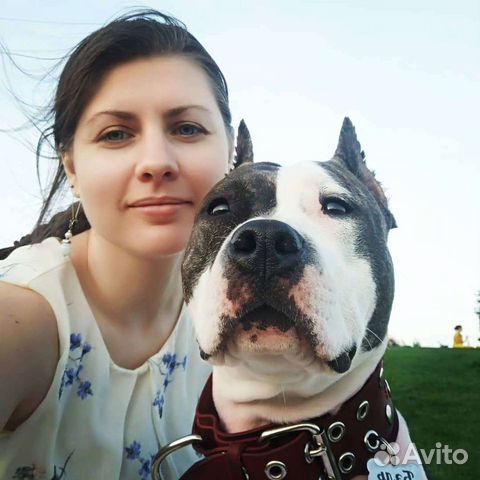 Выгул собак, зооняня