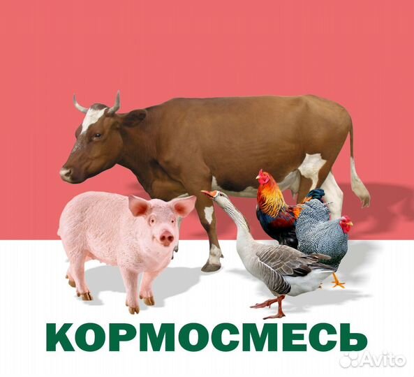 Комбикорм, кормосмеси, зерно