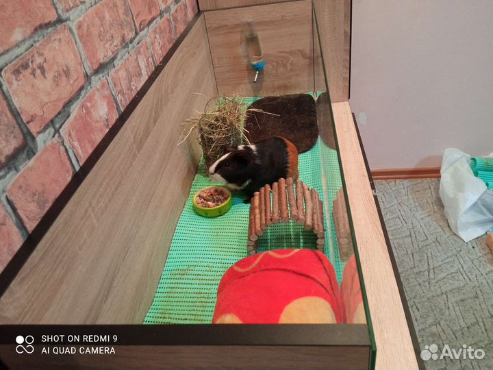 Клетка стеллаж для грызуна