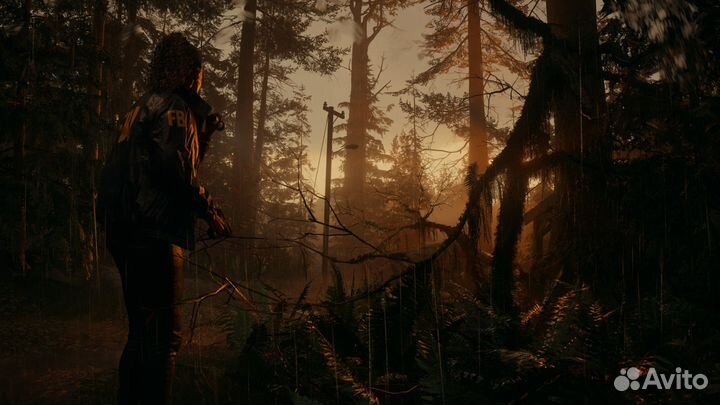 Alan Wake 2 Deluxe Edition Xbox