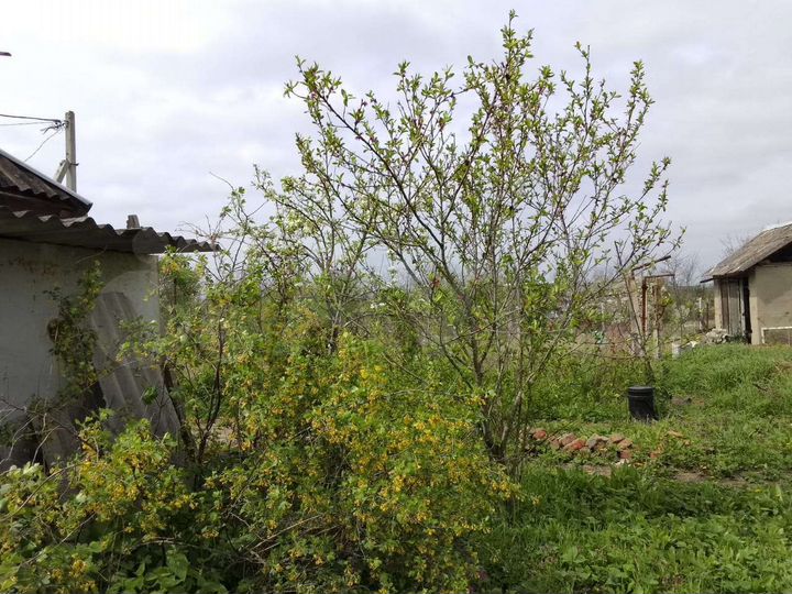 Дача 12 м² на участке 6 сот.