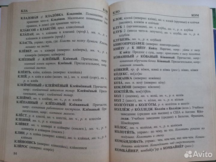 Словарь трудностей русского языка