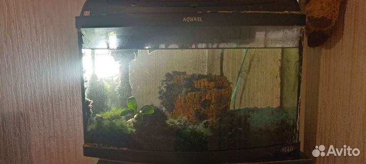 Украшение для аквариума