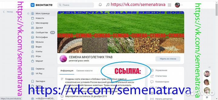 Семена многолетних трав