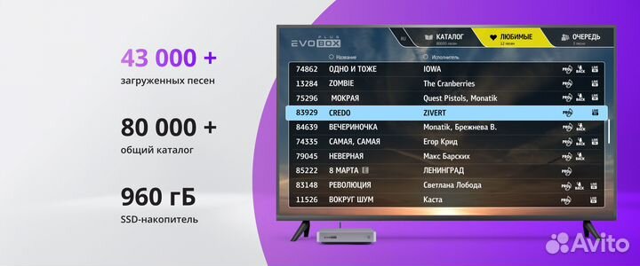 Караоке системы Evolution