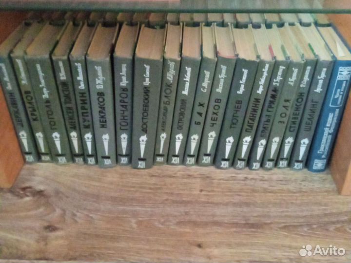 Книги из серии жзл