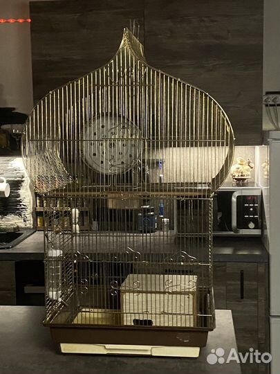 Клетка большая