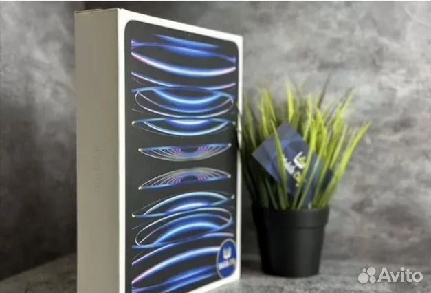 iPad Pro 12,9 256 gb Silver +Cellular