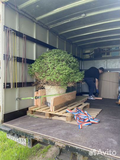 Переезды. Грузчики. Грузоперевозки. Доставки