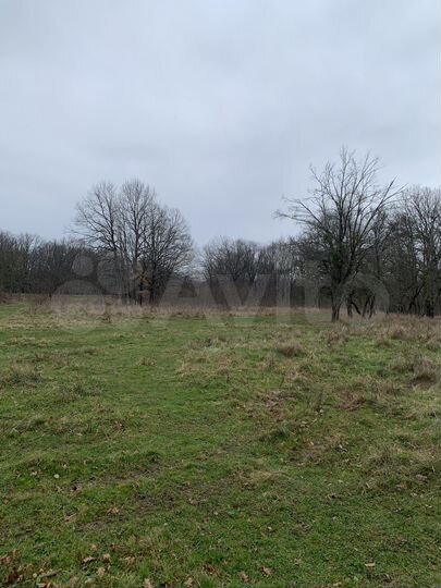 Участок 43 сот. (ИЖС)