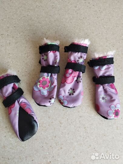 Обувь для собак мелких пород