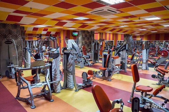 Абонемент в фитнес клубе Зебра