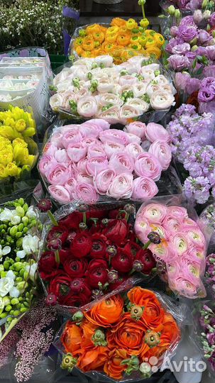 Ранункулюсы букет. лютики 9 11 15 21 шт