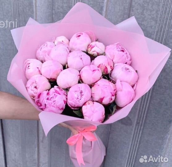 Пионы Цветы