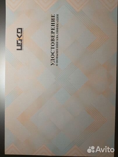 Спец-ст нострой /ноприз для СРО