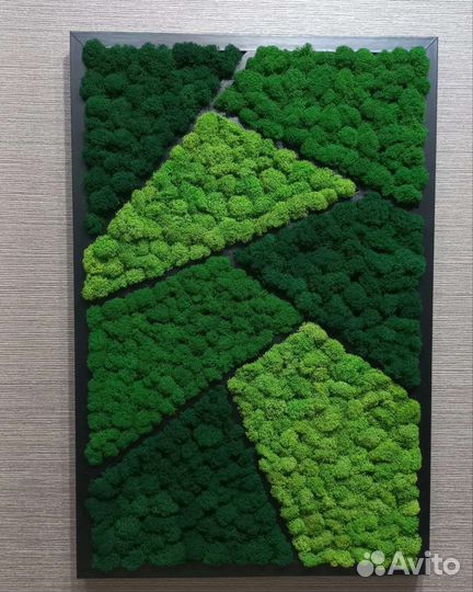 Стабилизированный мох панно