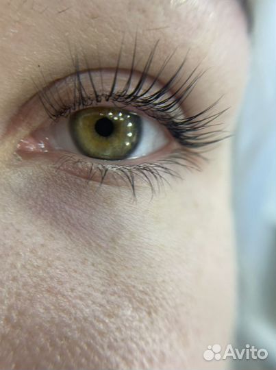 Обучение Ламинированию ресниц