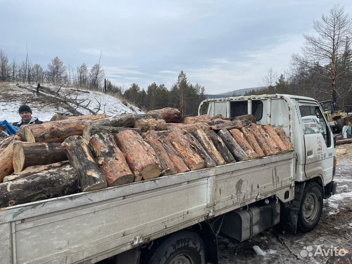 Дрова сухая сосна