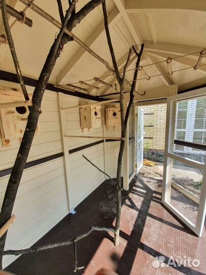 Вольер для белок и енотов