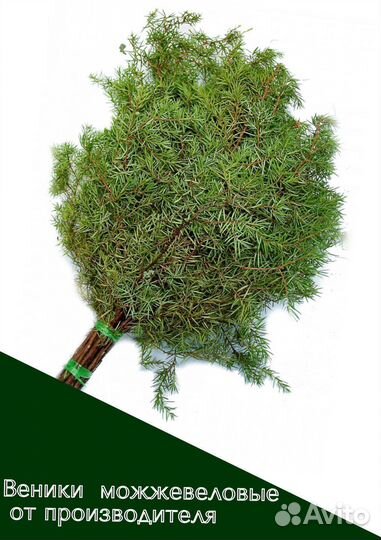 Веники для бани - Можжевеловые