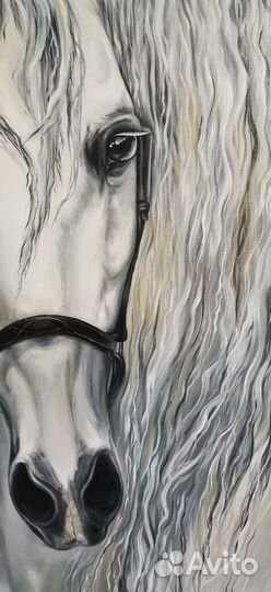 Картина лошадь