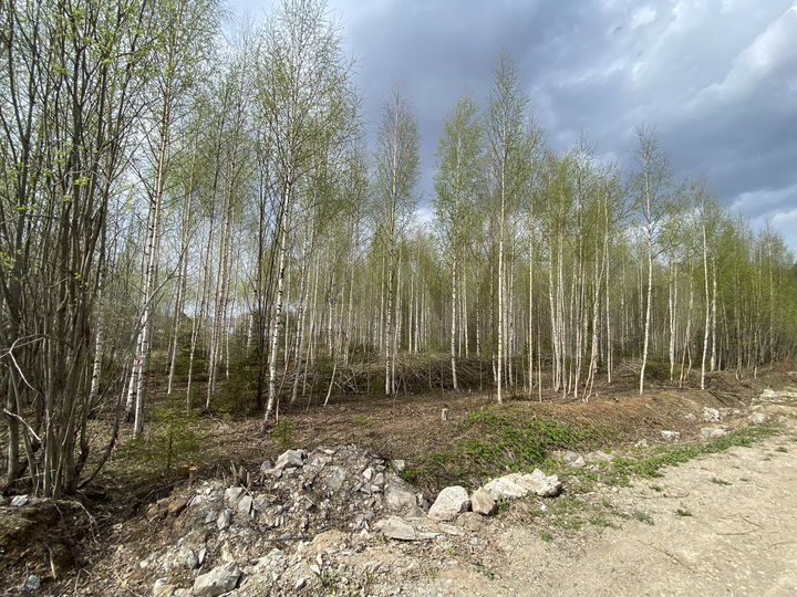 Участок 20 сот. (СНТ, ДНП)