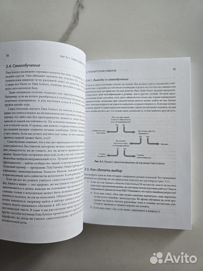 Data Science для карьериста Manning, анализ данных
