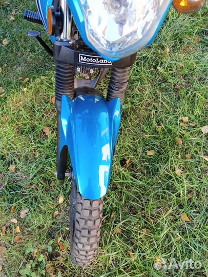 Альфа 50(110) 2022 года