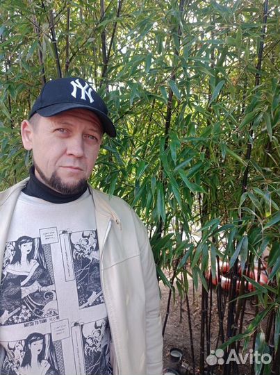 Шеф-повар, су- шеф, универсал